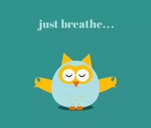 Just breathe owl
